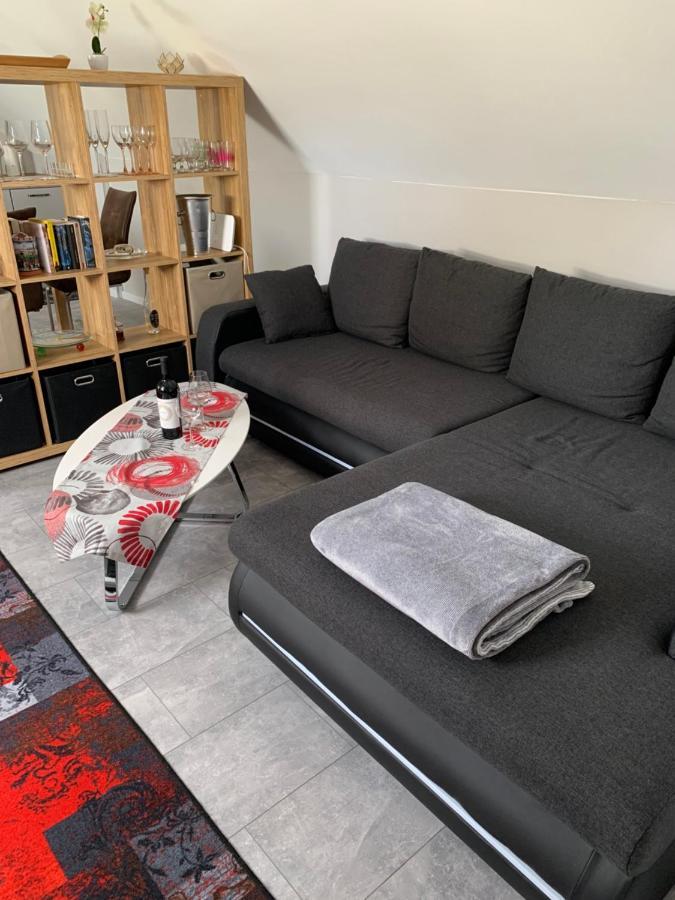 Ferienwohnung Sunny - Moderne Ferienwohnung Im Gruenen In Saarbruecken-West 외부 사진